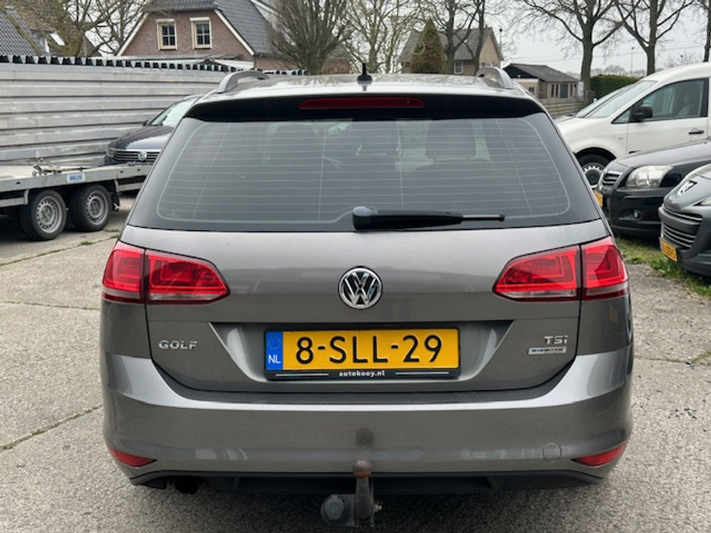 43770214-9.jpg