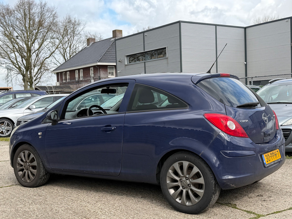 52499524-1.jpg